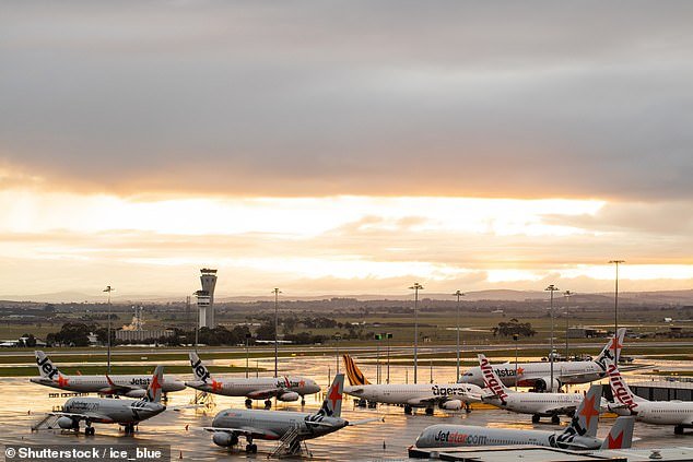 A recent Senate estimate heard that the absence of just two air traffic controllers at Sydney Airport was causing flight delays across the country (stock image)