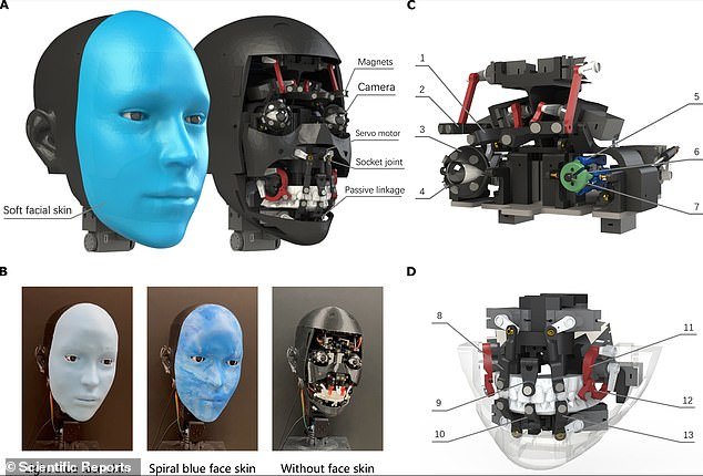 Emo is a humanoid head with a face equipped with 26 actuators that allow for a wide range of nuanced facial expressions.  The head is covered in a soft silicone skin with a magnetic attachment system and has high-resolution cameras in the pupil of each eye