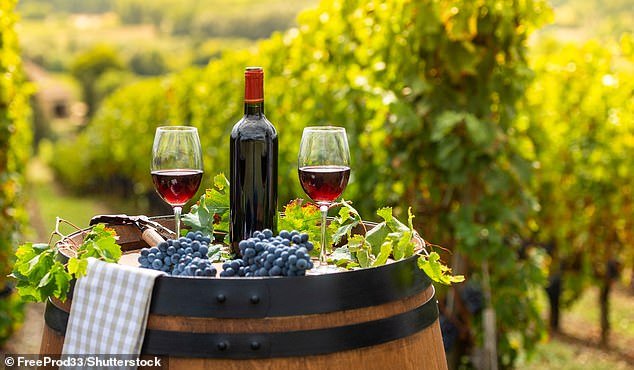 Global warming will deal a devastating blow to vineyards in California, southern France, northern Spain and Italy