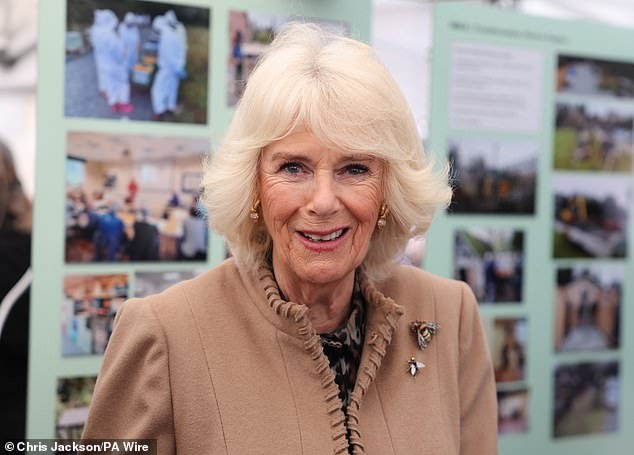 Queen Camilla smiles in Shrewsbury during her visit to the farmers market yesterday afternoon