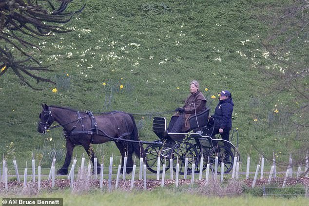 The Duchess of Edinburgh, accompanied by an assistant, was pictured at Windsor Castle on Friday taking a solo carriage ride