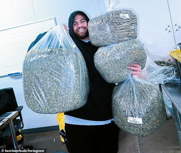 Tai Tuivasa posed with huge bags of marijuana as he launched his new cannabis company on Instagram on Thursday