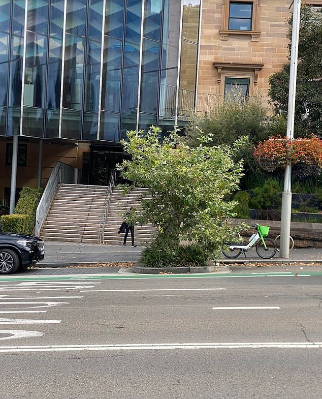 Juan was spotted by a City of Sydney council warden in February when he stopped to drop off a friend just on William St (pictured), in Sydney's CBD.