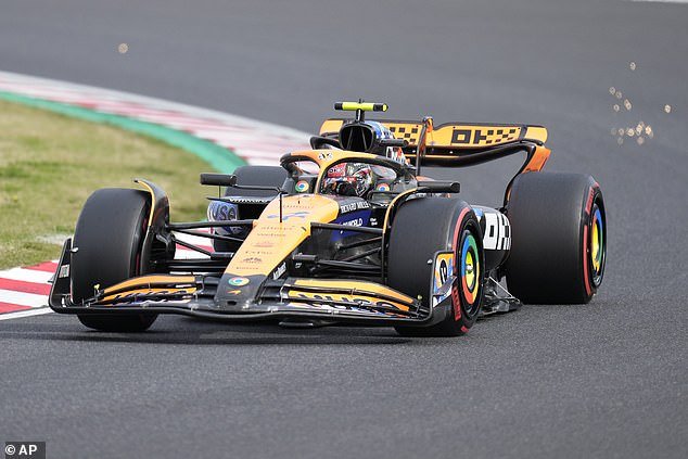 Lando Norris did well to send his McLaren to third place and shared the second row of the grid with Carlos Sainz
