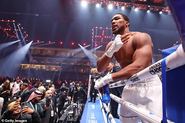 Fury's highly anticipated clash with Anthony Joshua will have to wait until next year