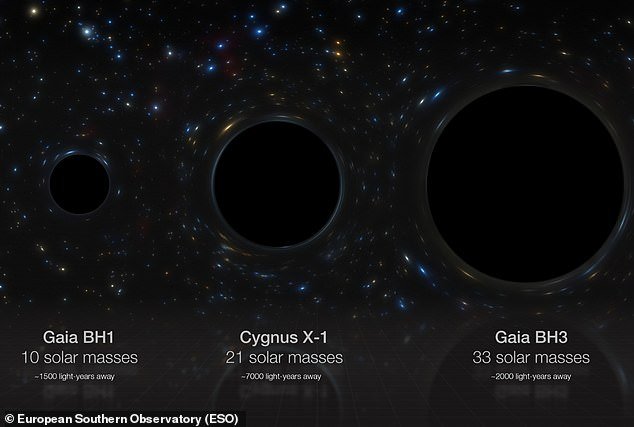 This image compares the new find with two smaller black holes in our Milky Way.  Gaia BH1 is the closest black hole, but it has only ten times the mass of our Sun (ten solar masses).  Meanwhile, Cygnus X-1 is twice as big, with a mass of 21 solar masses.  Gaia BH3 has a massive mass of 33 solar masses, but is still completely eclipsed by Sagittarius A*, the largest black hole in our Milky Way (about 4 million solar masses)