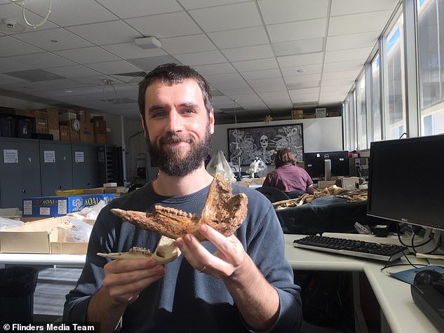 Dr.  Isaac Kerr, lead author of the study (pictured) analyzed more than 800 different kangaroo fossils in four countries to identify the new species
