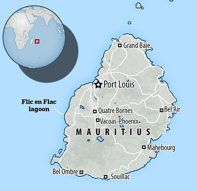 1713357100 827 British tourist 55 drowns in Mauritius while swimming in rough