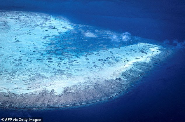 This aerial photo, taken on April 4, 2024, shows a coral atoll near Lizard Island on the Great Barrier Reef, 167 miles north of the city of Cairns.