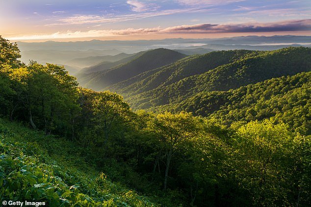 The findings have led researchers to wonder whether old industrial mines could become a valuable source of lithium — but the discovery could extend far beyond the East Coast Mountains (pictured are North Carolina's Appalachians).