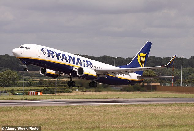 File photo of a Ryanair plane.  Flight crew intervened to help the man, but were unable to save him