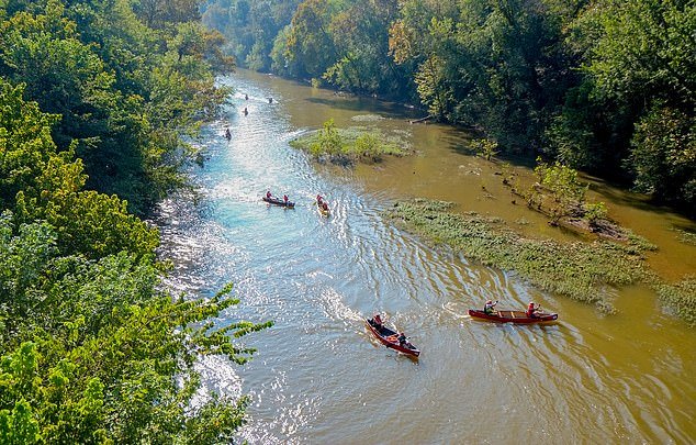 U.S. rivers provide drinking water to local communities, serve as habitat for wildlife, and are stopovers for large migratory birds.  Pictured: Duck River, Tennessee