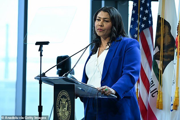 Mayor London Breed says the $113,000 per hut plan will provide a 'safe, stable environment' for 50 homeless people