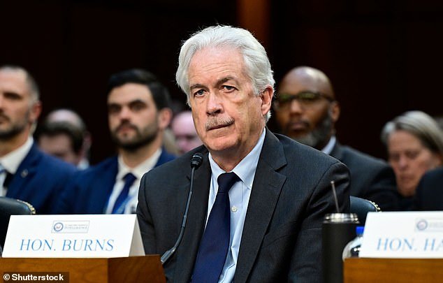 William J Burns (pictured) heads the Central Intelligence Agency