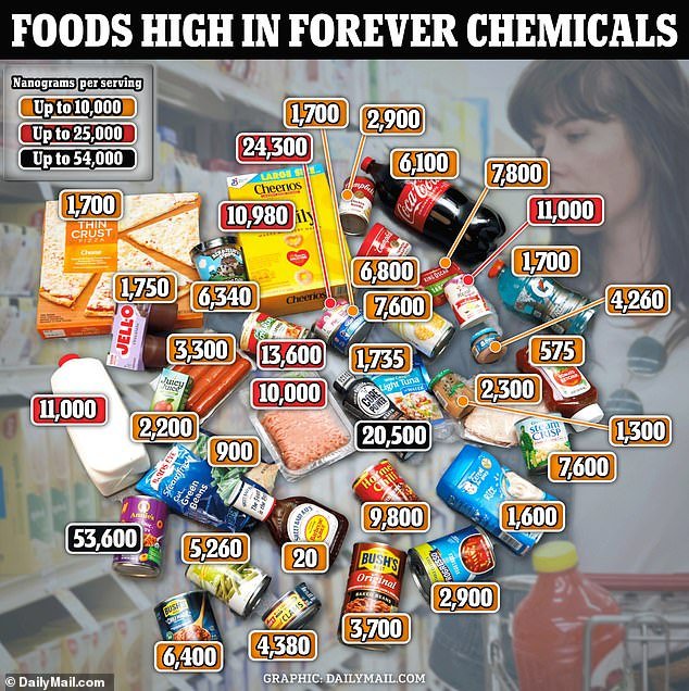 Forever chemicals are found in many foods, including barbecue sauce, hot sogs, sodas and soups.  These chemicals can cause fertility problems and life-threatening diseases such as kidney and liver failure and cancer