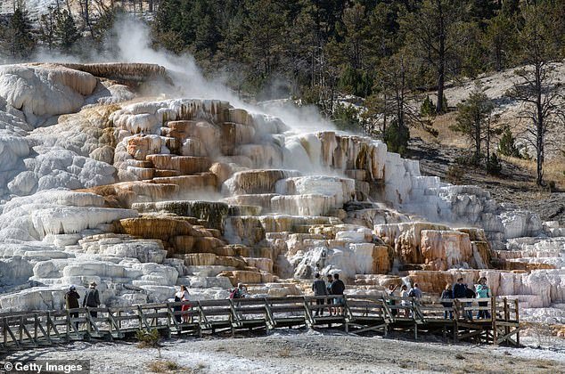 At Mammoth Springs in Yellowstone National Park, you can watch travertine form in real time as calcium-rich water deposits its minerals on the surface.