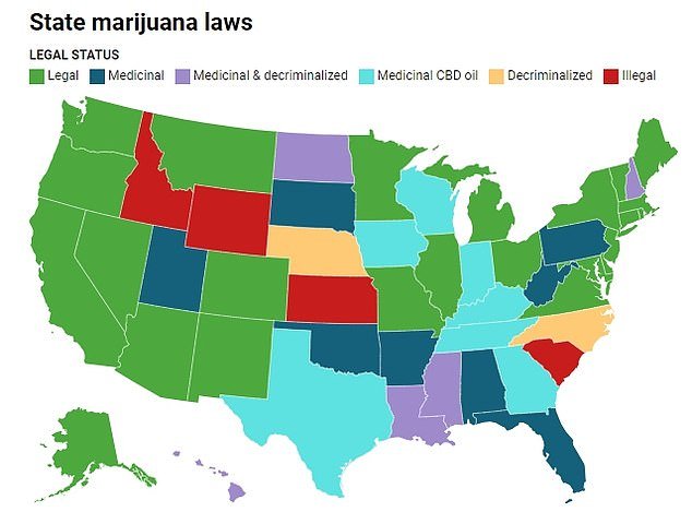 1713618275 534 The Daily Mail map shows where marijuana dispensaries are most