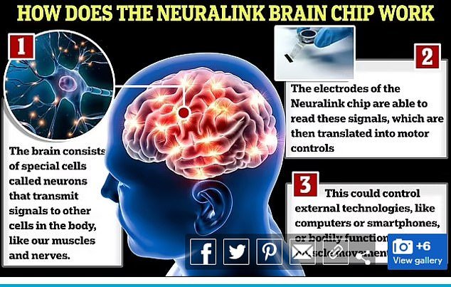 Brain-computer interfaces such as Elon Musk's Neuralink will be a key stage