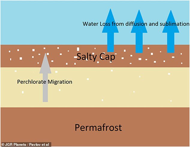 The perchlorate salts trapped in Martian permafrost evaporate and become trapped in the soil.  There it forms a crust that traps methane beneath the surface during the day.