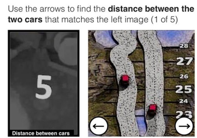 Captcha images (pictured) require people to use intelligence to solve the puzzle rather than providing basic directions such as 'identify the crossings'