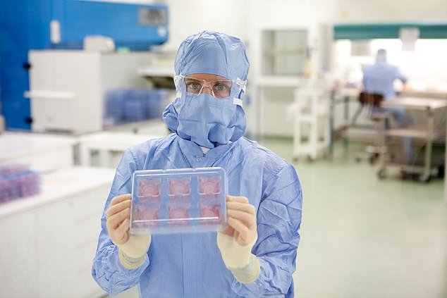 A scientist holds up Episkin, the lab-produced simulated skin made from real human skin cells.