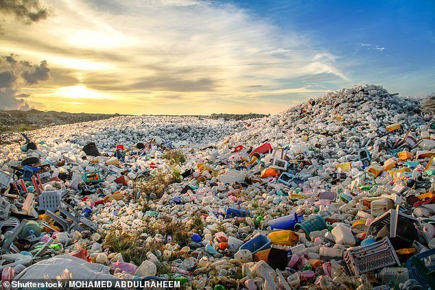 Many of us are doing our best to reduce our plastic consumption.  But despite our efforts, the figures suggest that as much as 220 million tonnes of plastic waste will be produced this year.