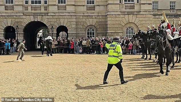 In the background, a woman can be heard urging members of the public to remain quiet as a soldier frantically runs into the area to try to capture the riderless horse.