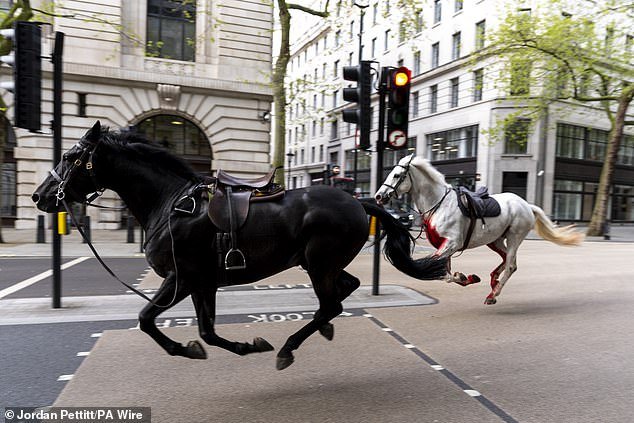 Two of the horses – one with a chest covered in blood – run east through the streets of London