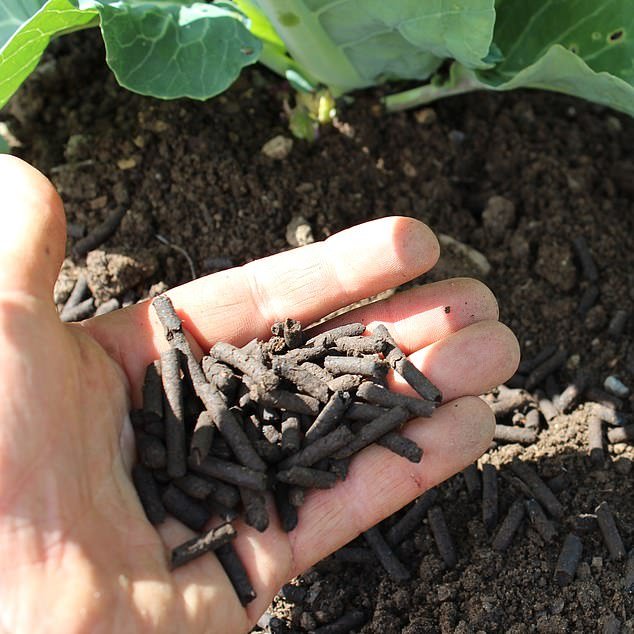 Farmers currently use synthetic fertilizer (pictured), which can cost about $128,000 per year