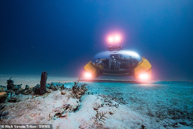 It is specially designed for the cruise and hospitality sectors, with the ability to dive 200 meters below the surface