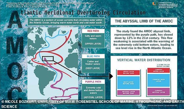 The weakening current – ​​called the abyssal limb – is part of the Atlantic Meridional Overturning Circulation (AMOC), a system of ocean currents that acts as a 'conveyor belt' to spread heat, nutrients and carbon dioxide across our oceans.