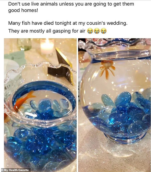 One guest criticized a bride for adding living table decorations that were presumed dead after the ceremony