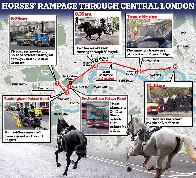 Vida (white horse) and Trojan (black horse) took off on Wednesday and went on a six-mile rampage through central London