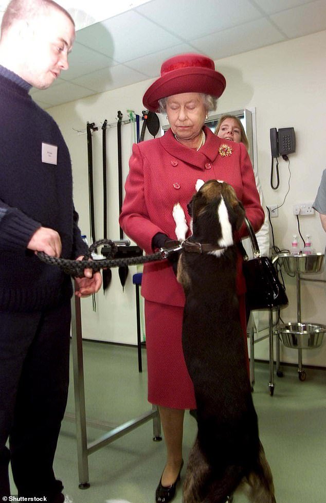 Mischief the dog jumps up to greet Queen Elizabeth during the reopening of the Blue Cross Animal Hospital in 2001. The Queen is not very pleased