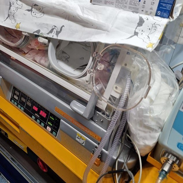 The seriously ill one-month-old baby in a specialized incubator.  The family was flown to Rome with the help of the Italian Prime Minister after his parents requested help to save their son