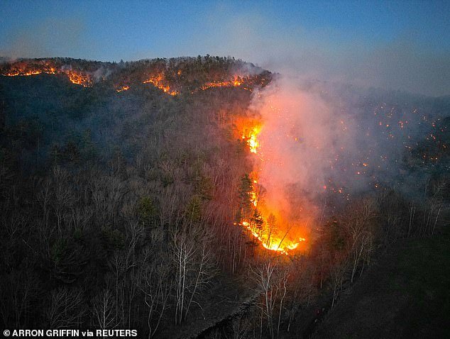 The West Coast of the US has developed a reputation for wildfires in recent years, but this wildfire in Virginia covered more than 2,000 hectares at the end of March this year.