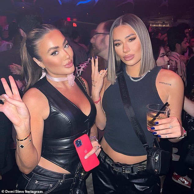 Chloe, Frankie (L), 28, Demi (R), 27, and their brother Charlie, 31, ventured to LA for their reality show, but the big brawl led to them deleting all traces of each other from Instagram
