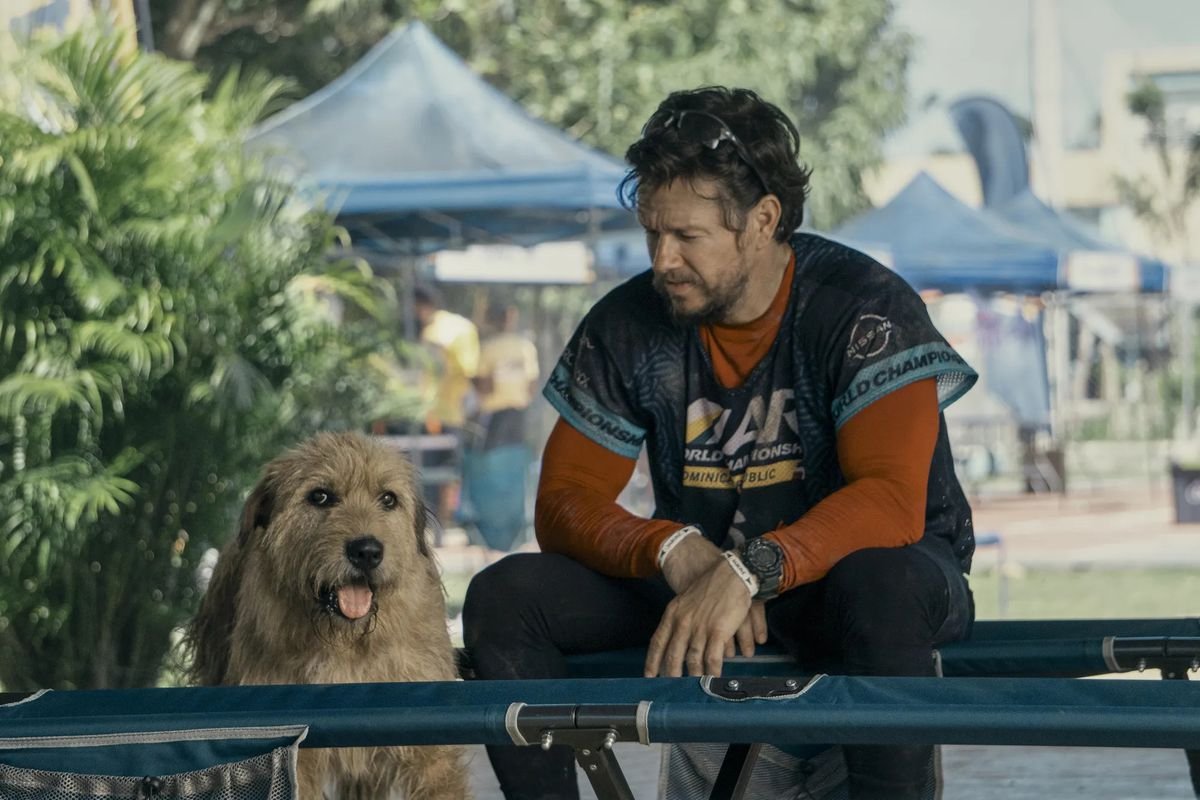 A man sits outside next to a dog.