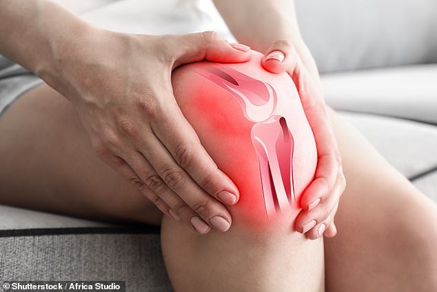 Around 10,000 Britons need treatment every year for torn cartilage injuries, usually in the knee.  This is where the firm but flexible 'cushion' that prevents bones from rubbing against each other in the joint tears, often due to heavy impacts during sporting activities (stock image)