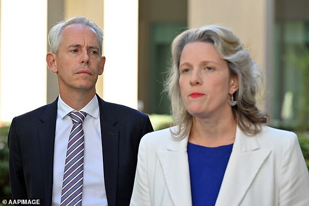 Immigration Minister Andrew Giles and Home Secretary Clare O'Neil have both faced widespread criticism since trying to push the bill through
