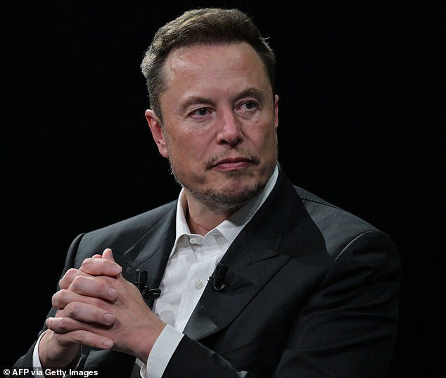 Elon Musk (pictured) has criticized independent senator Jacqui Lambie after she deleted her X account and urged other Australian politicians to do the same