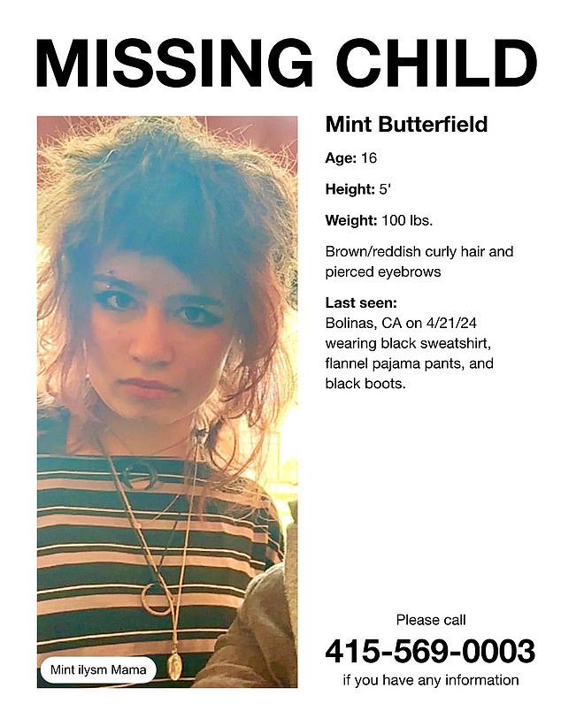 Mint Butterfield, the 16-year-old daughter of billionaire tech CEO Stewart Butterfield, has disappeared