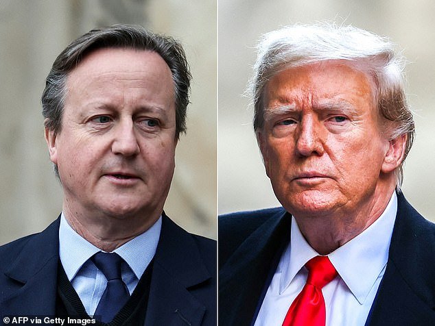 Donald Trump and British Foreign Secretary David Cameron discussed Ukraine, the elections on both sides of the Atlantic and their shared admiration for Queen Elizabeth II during a dinner at Mar-a-Lago on Monday evening, the Trump campaign said