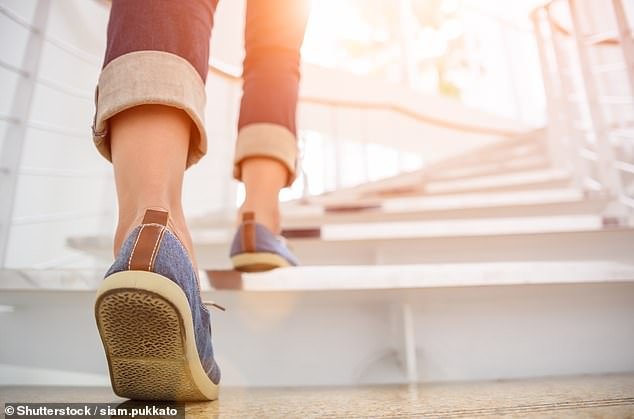 Taking the stairs can lower your risk of cardiovascular disease, including heart attack, heart failure and stroke