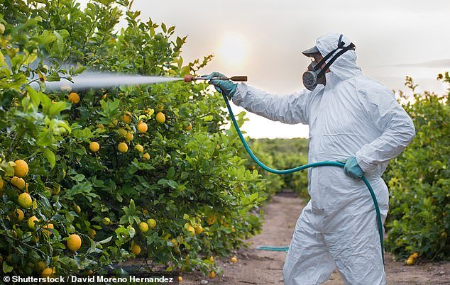 Pesticides are sprayed on produce to prevent animals from eating it, but have been linked to harmful health effects.