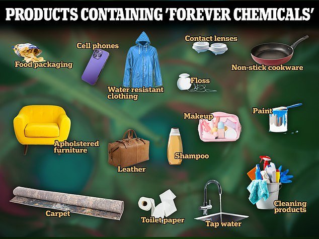 Forever chemicals, also called PFAS, are found in everyday products such as makeup, furniture and nonstick cookware, which can leach into soil and drinking water