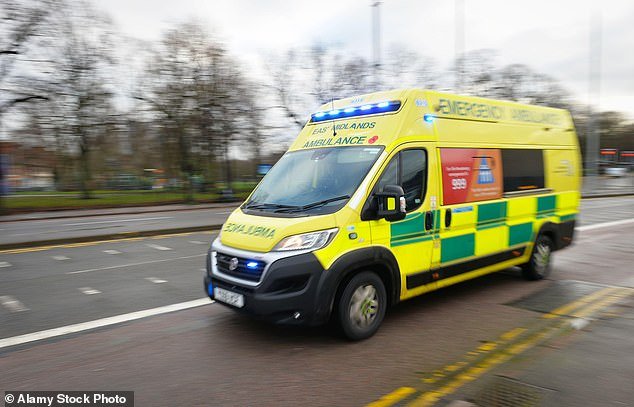 Crews are warning patients are having to wait too long for emergency rooms as trusts struggle with crippling shortages of staff and vehicles.  stock