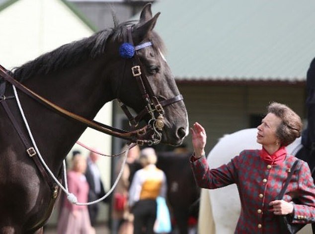 The Horse Trust takes over around twenty-five horses every year from the police and army.  The Princess Royal announces that the house was renamed The Horse Trust in 2006