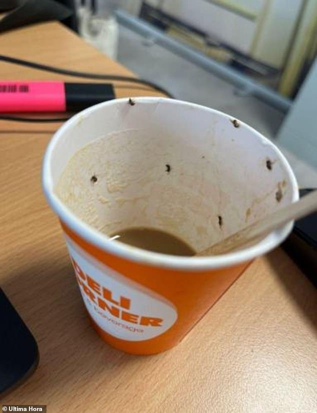 The coffee cup, pictured, was infested with flies after a 21-year-old woman drank it, causing an allergic reaction that left her temporarily blind