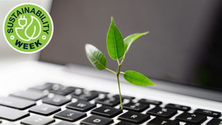 Plant growing from a laptop keyboard with the Sustainability Week logo on it